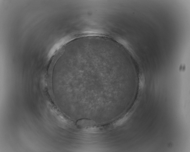 X0000112361357200908201453