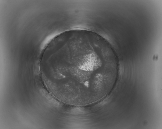 X0000112361358200908201453