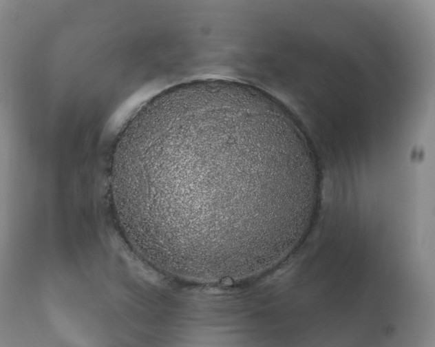 X0000112361359200908201453