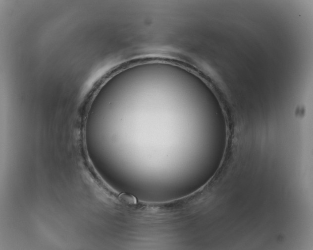 X0000112361360200908201453