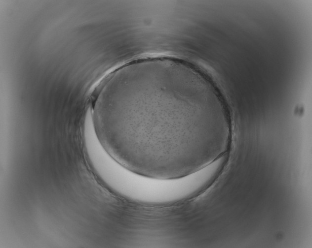 X0000112361361200908201453