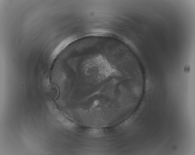 X0000112361362200908201453