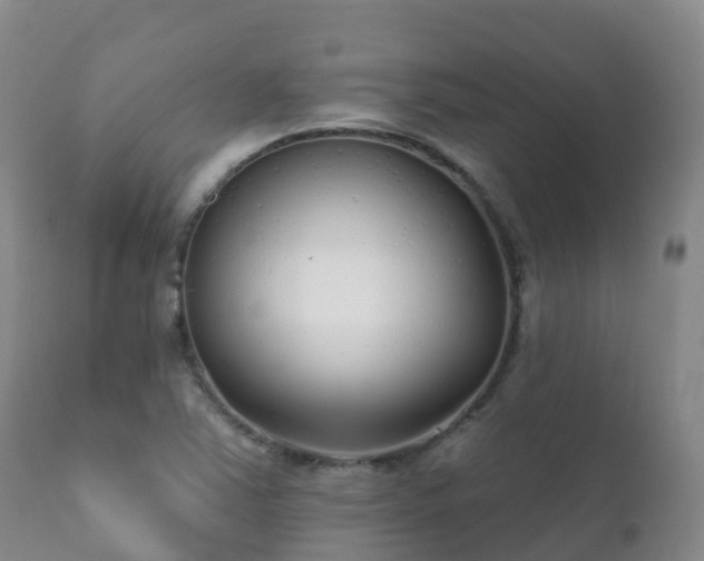 X0000112361363200908201453