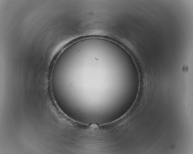 X0000112361364200908201453