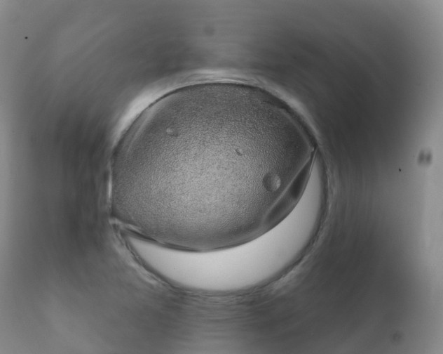 X0000112361365200908201453