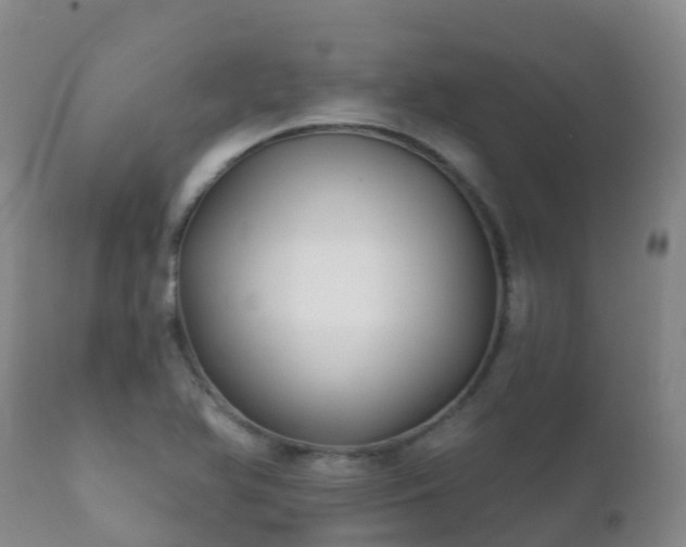 X0000112361366200908201453