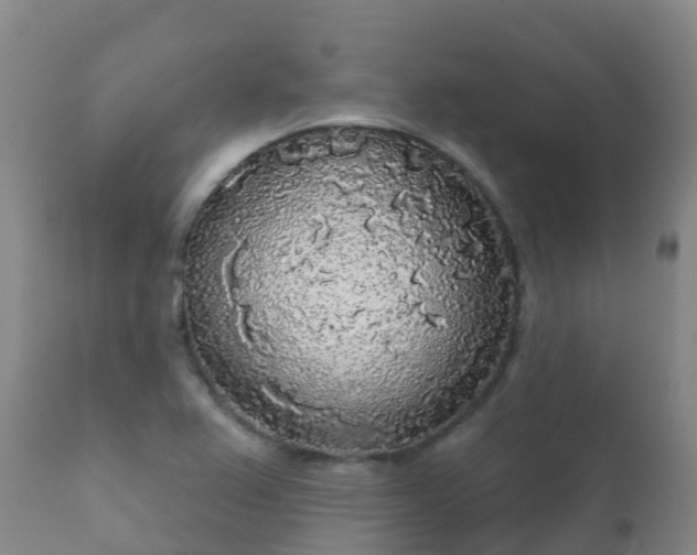 X0000112361367200908201453