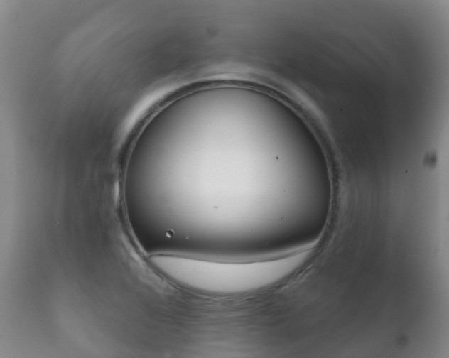 X0000112361368200908201453