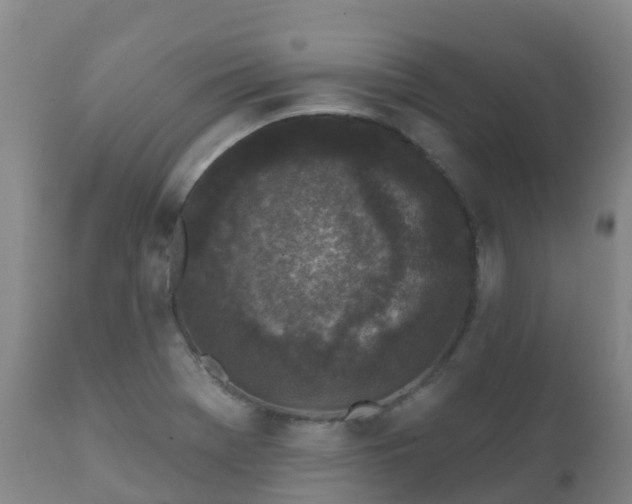 X0000112361369200908201453