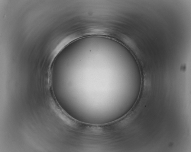 X0000112361370200908201453