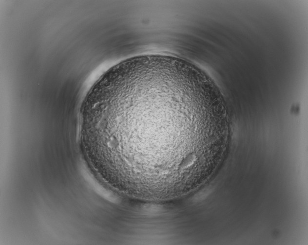 X0000112361371200908201453