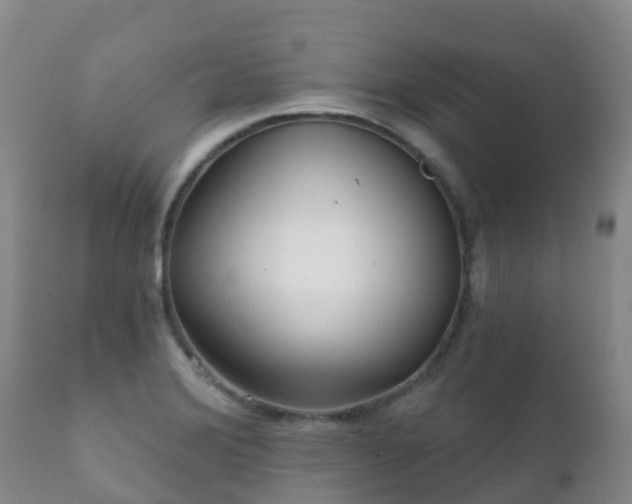 X0000112361372200908201453