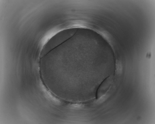 X0000112361373200908201453