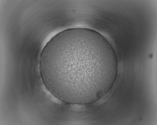 X0000112361374200908201453