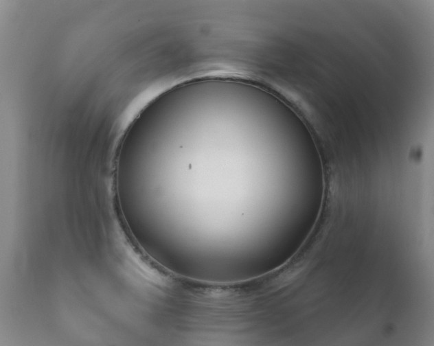 X0000112361375200908201453