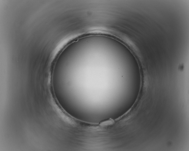 X0000112361376200908201453