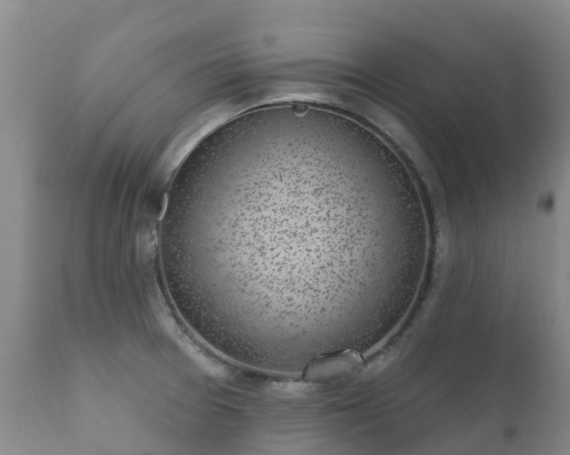 X0000112361377200908201453