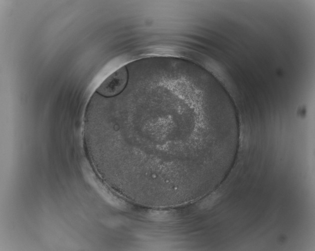 X0000112361378200908201453