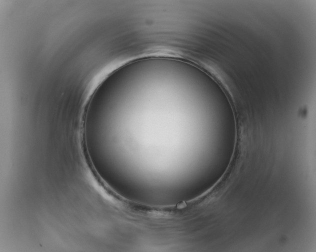 X0000112361379200908201453