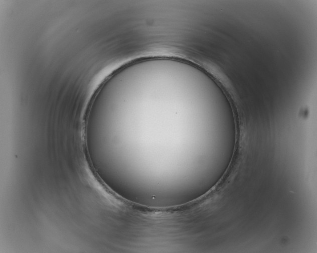 X0000112361380200908201453