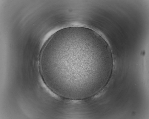 X0000112361381200908201453