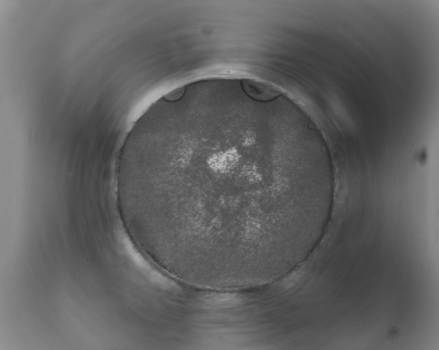 X0000112361382200908201453