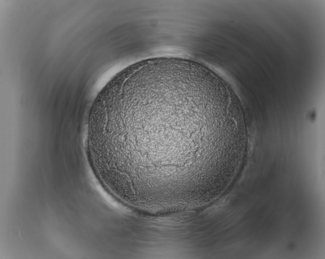 X0000112361383200908201453