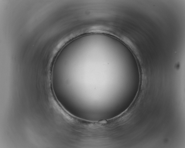 X0000112361384200908201453