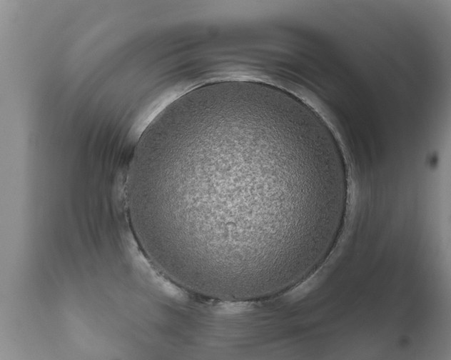 X0000112361385200908201453