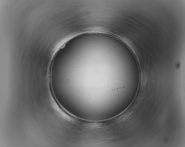 X0000112361387200908201453