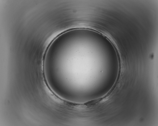 X0000112361388200908201453