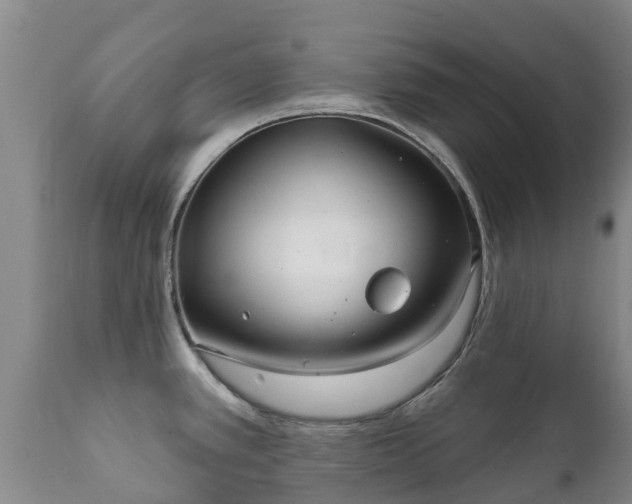 X0000112361389200908201453