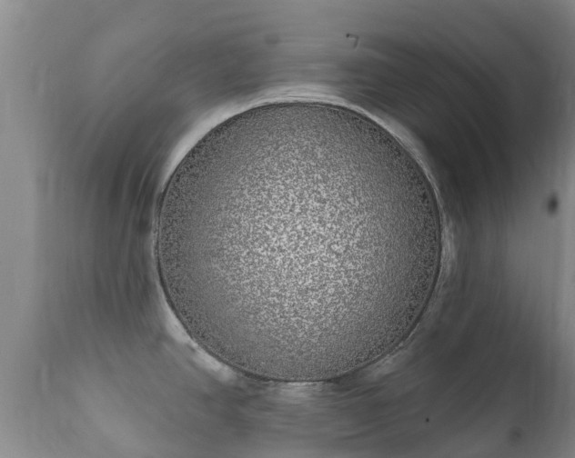 X0000112361390200908201453