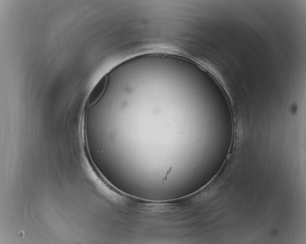 X0000112361391200908201453