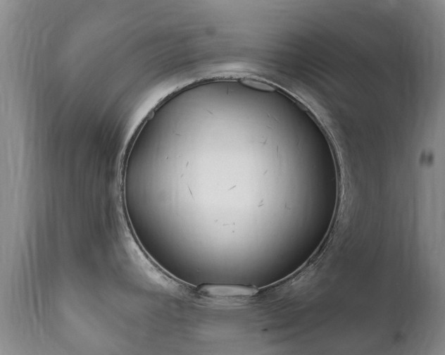 X0000112361392200908201453