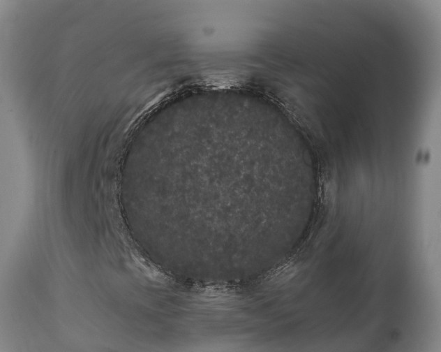 X0000112361393200908201452