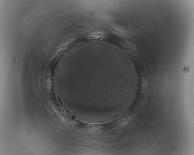 X0000112361394200908201452