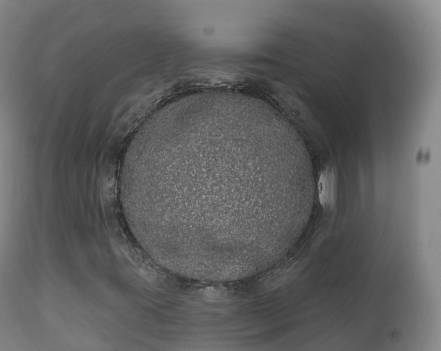 X0000112361395200908201452