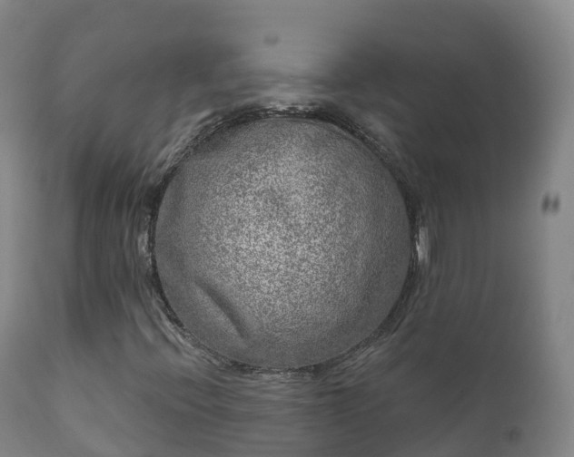 X0000112361396200908201452