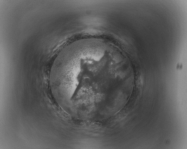 X0000112361397200908201452