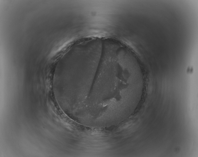 X0000112361399200908201452