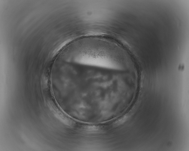 X0000112361401200908201452