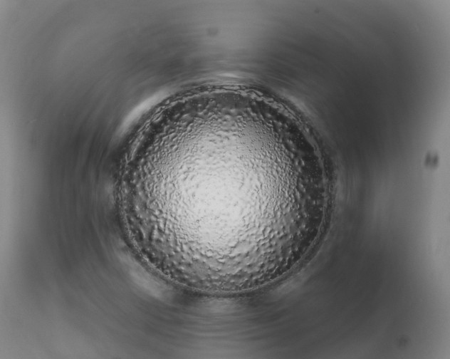 X0000112361402200908201452