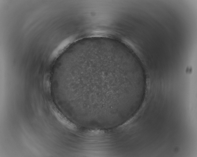 X0000112361403200908201452