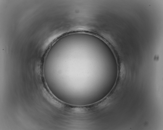 X0000112361404200908201452
