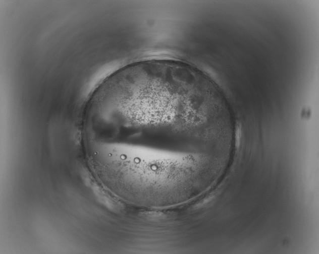 X0000112361405200908201452