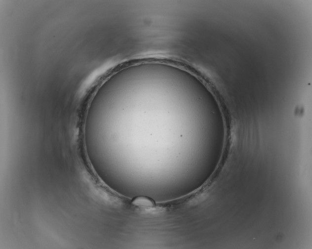 X0000112361406200908201452