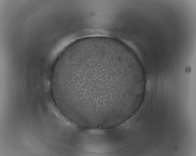 X0000112361407200908201452