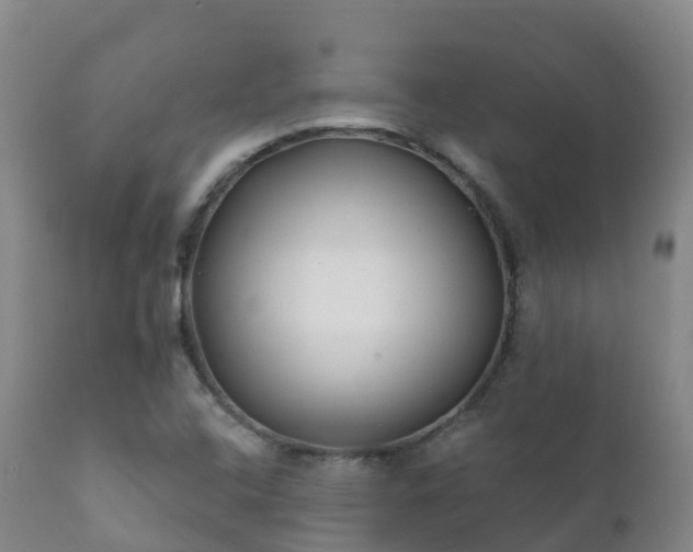 X0000112361408200908201452