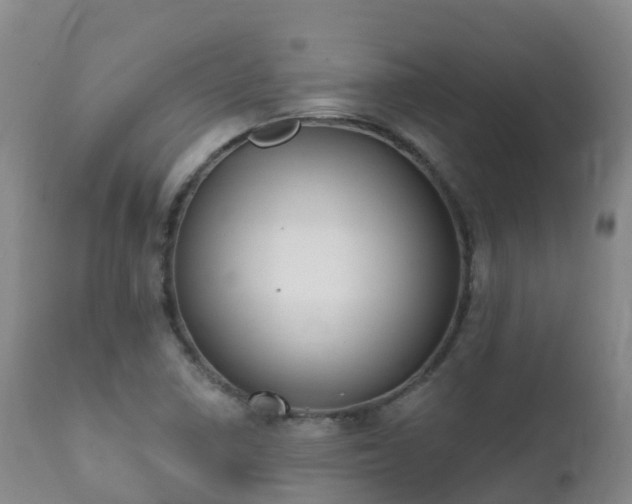 X0000112361410200908201452